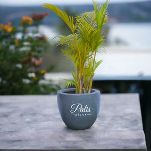 Hins Planter