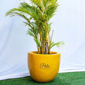 Hins Planter