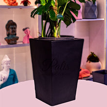 Load image into Gallery viewer, Pyramid Planter A1
